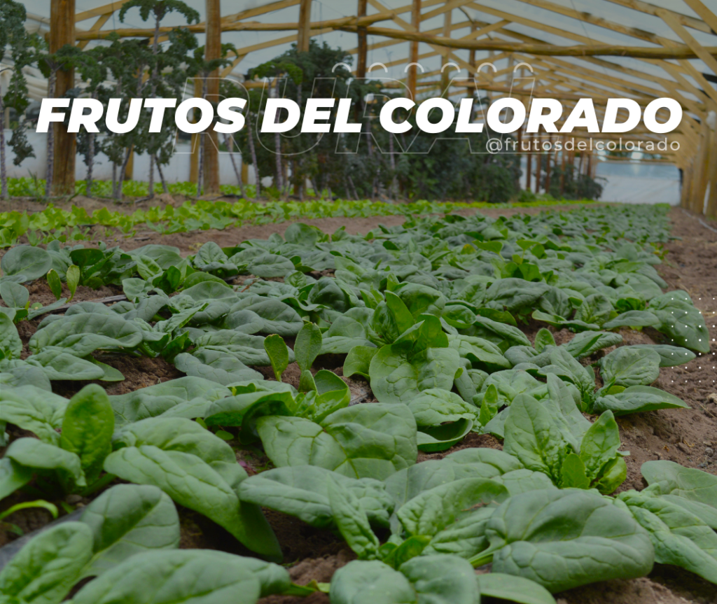Frutos del Colorado